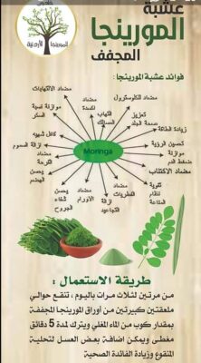 عشبة المورينجا ( العشبة المعجزة ) مكمل غذائي طبيعي